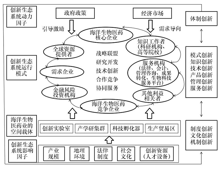 白福臣等:基于创新生态系统的海洋生物医药产业发展对策