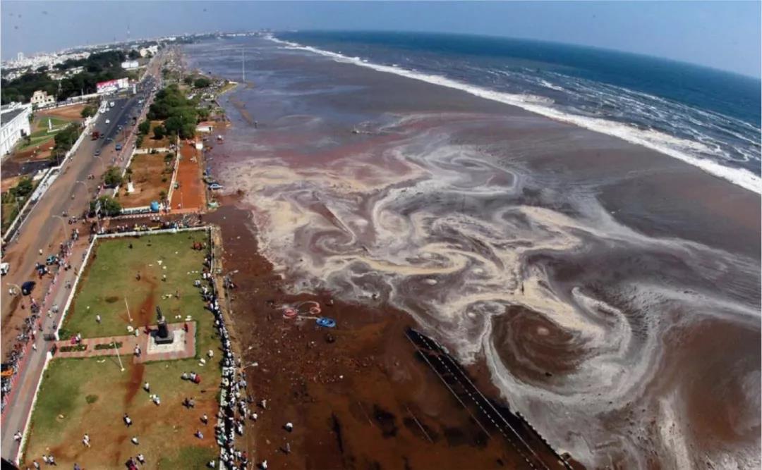 一起走进《海洋灾害与防灾减灾》科普展